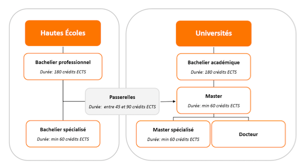 Les Petits + – Le Joker Scolaire – Cours Particuliers