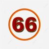 66 66
